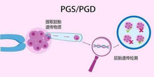 代怀价格-hcg数值低意味着什么